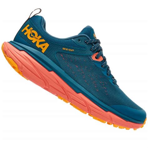 all terrain running shoes womens|waterproof trail running shoes women.